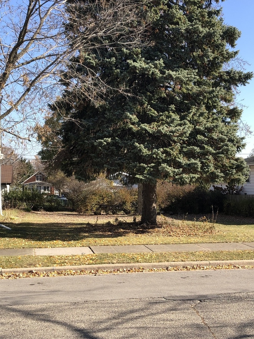 1424 Highland Avenue