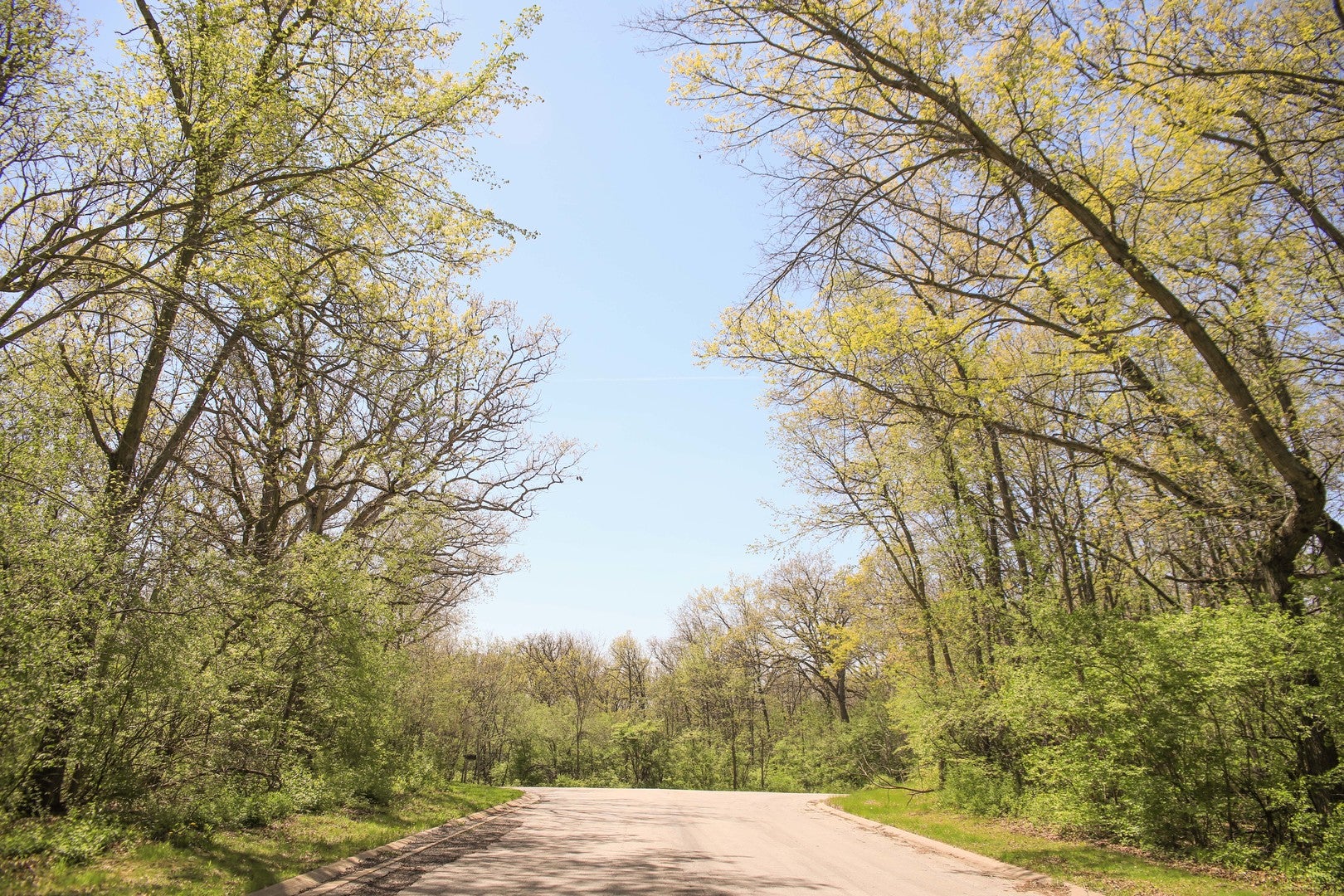 910 Echo (Lot 6) Trail