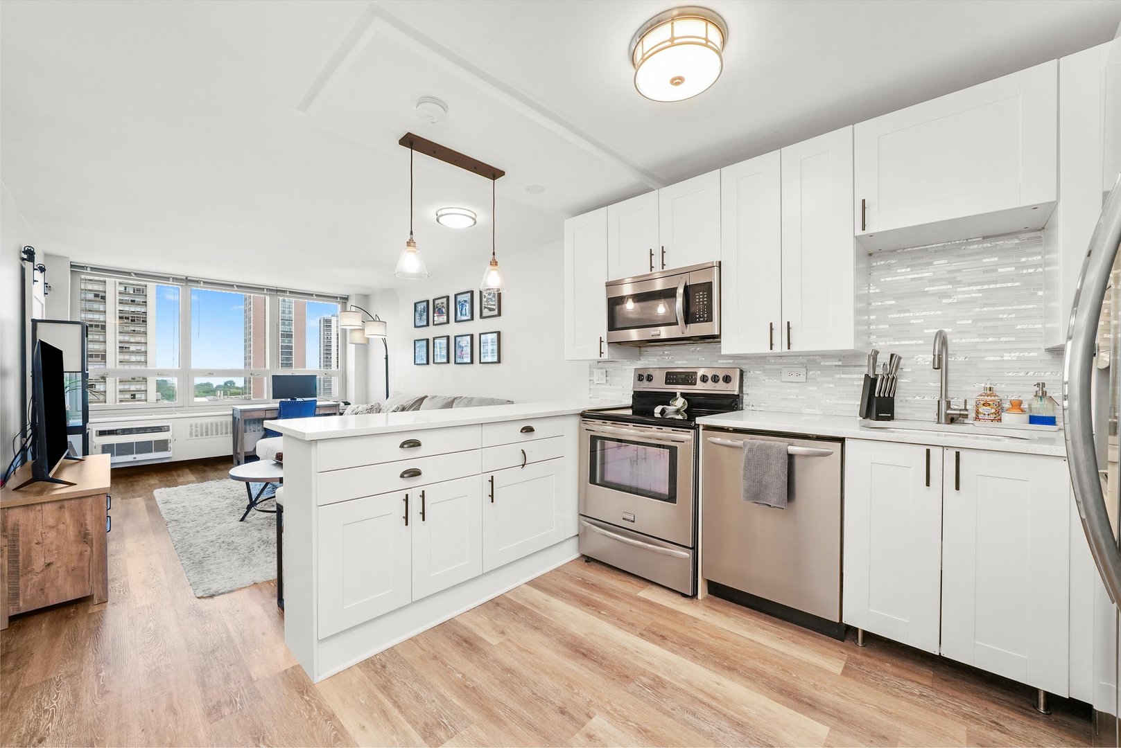 88 W Schiller Street 1405