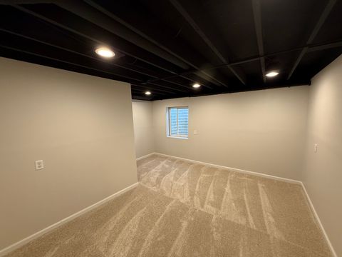 Tiny photo for 410 S Higgins Road, Mazon, IL 60444 (MLS # 12638552)