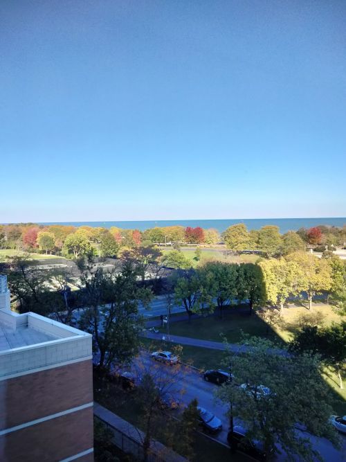 5100 N Marine Street 8D