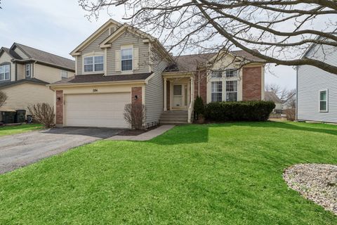 Photo of 204 Buckingham Drive, Grayslake, IL 60030 (MLS # 12600811)