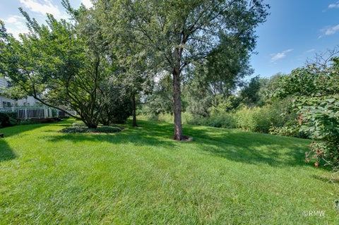 Tiny photo for 981 Oak Ridge Boulevard, Elgin, IL 60120 (MLS # 12745664)