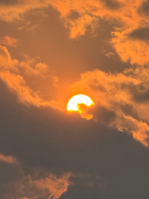 Tiny photo for 981 Oak Ridge Boulevard, Elgin, IL 60120 (MLS # 12745664)