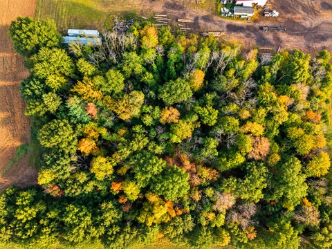 Tiny photo for 328 Ida Street, Noble, IL 62868 (MLS # 12757297)