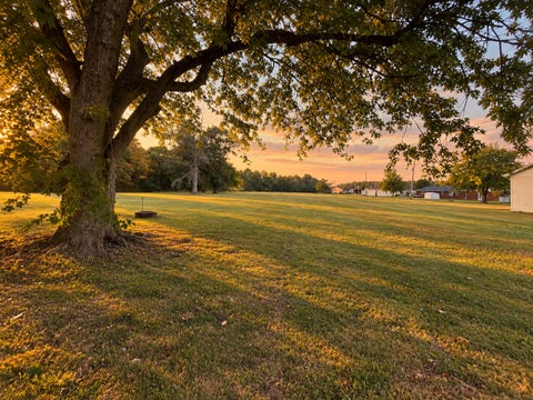 Tiny photo for 328 Ida Street, Noble, IL 62868 (MLS # 12757297)