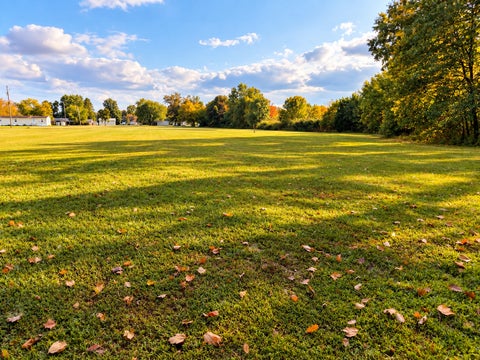 Tiny photo for 328 Ida Street, Noble, IL 62868 (MLS # 12757297)