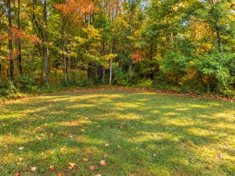 Tiny photo for 328 Ida Street, Noble, IL 62868 (MLS # 12757297)