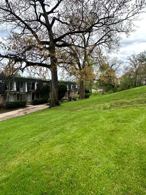 Tiny photo for 10152 S 84th Terrace #12309, Palos Hills, IL 60465 (MLS # 12636411)