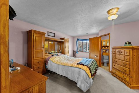 Tiny photo for 303 Jefferson Street, New Boston, IL 61272 (MLS # 12622938)