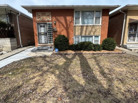1228 E 87th Place Chicago IL 60619