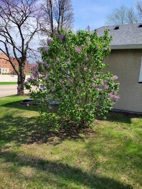 Tiny photo for 425 E Dakota Street, Spring Valley, IL 61362 (MLS # 12588356)