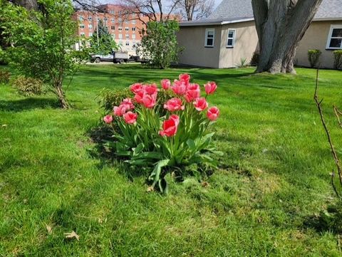 Tiny photo for 425 E Dakota Street, Spring Valley, IL 61362 (MLS # 12588356)