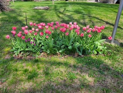 Tiny photo for 425 E Dakota Street, Spring Valley, IL 61362 (MLS # 12588356)