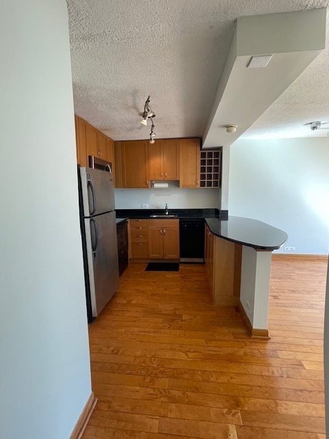 1460 N Sandburg Terrace 803A