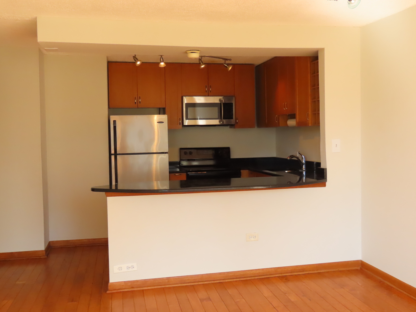 1460 N Sandburg Terrace 803A