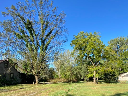 00 LOT 180TH STREET, TINLEY PARK, IL 60477 - Image 0c2febc21cdcce385963e7dc64b9cdf5/460510791