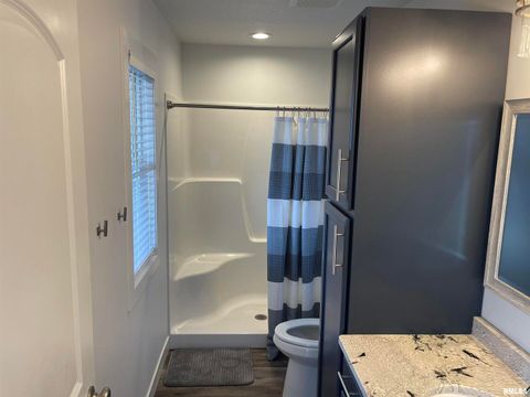 Tiny photo for 1065 N LAKESHORE Drive, Goreville, IL 62939 (MLS # EB460500)