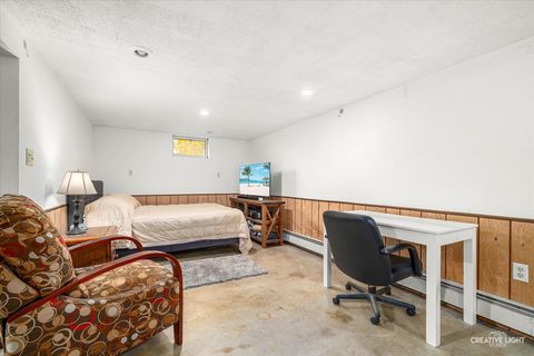 Tiny photo for 457 W Spring Street, South Elgin, IL 60177 (MLS # 12494156)