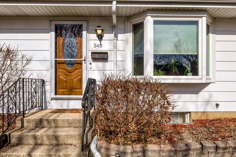 Tiny photo for 340 W Middle Street, South Elgin, IL 60177 (MLS # 12578800)