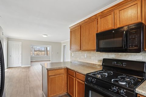 Tiny photo for 1161 W Frank Street, Beecher, IL 60401 (MLS # 12609229)