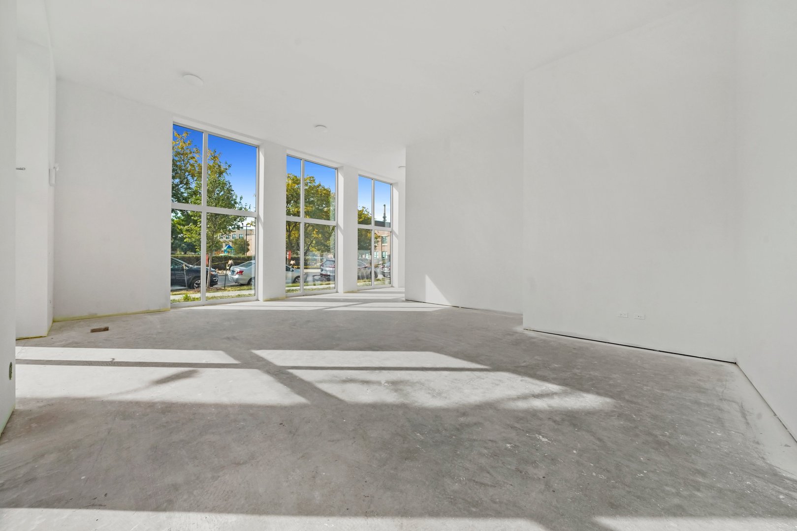 816 W Cullerton Street 1W