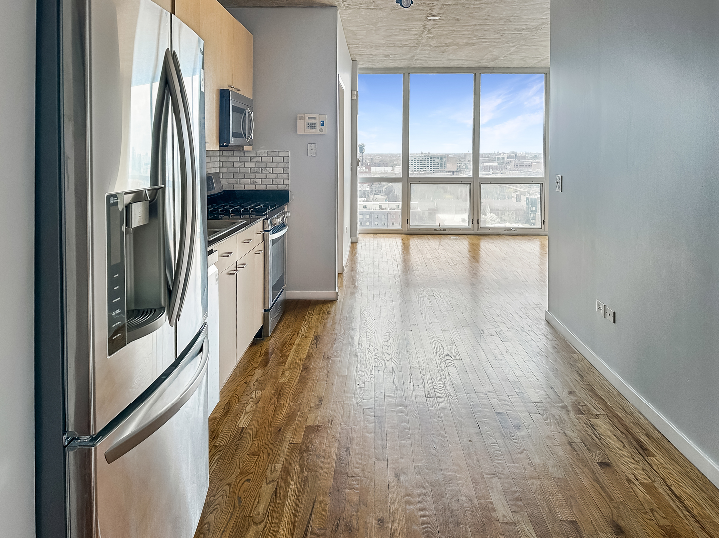 1845 S Michigan Avenue 1602