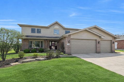 9007 Adare Avenue Mokena IL 60448