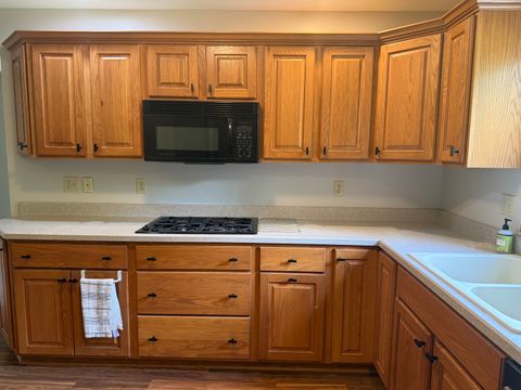 Tiny photo for 323 Bailey Court, Princeton, IL 61356 (MLS # 12656823)