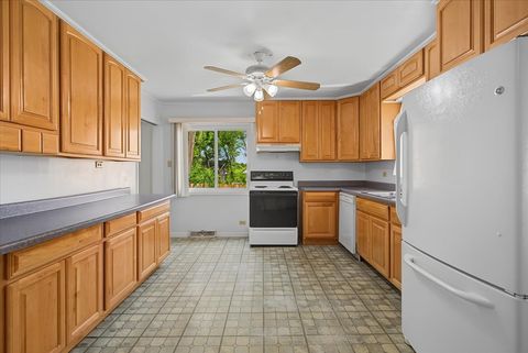 Tiny photo for 17 S Walnut Street, Palatine, IL 60067 (MLS # 12700217)