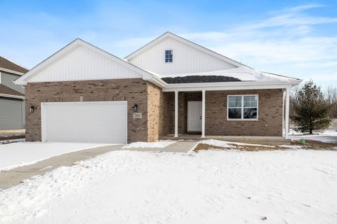 Photo of 203 Hickory Street, Peotone, IL 60468 (MLS # 12557876)