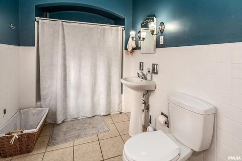 Tiny photo for 2101 WALNUT Street, Murphysboro, IL 62966 (MLS # EB460039)