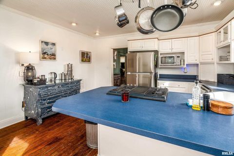 Tiny photo for 2101 WALNUT Street, Murphysboro, IL 62966 (MLS # EB460039)