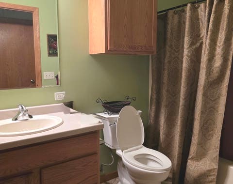 Tiny photo for 1885 Anne Lane, Morris, IL 60450 (MLS # 12687348)