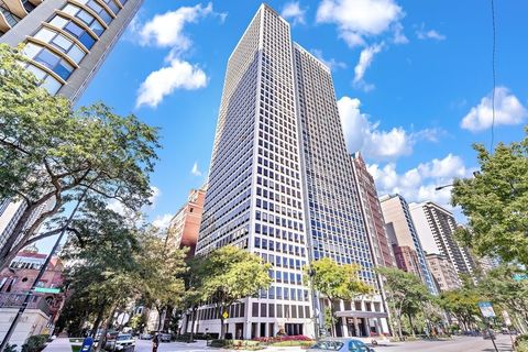 1100 N Lake Shore Drive 11B Chicago IL 60611
