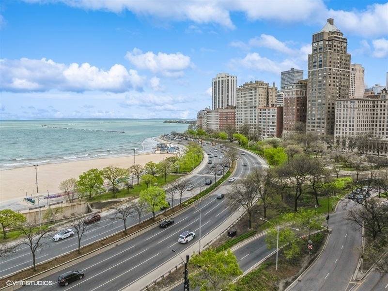 1100 N Lake Shore Drive 11B
