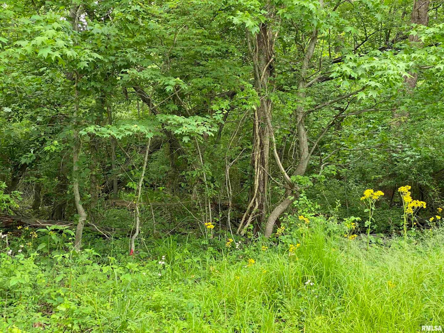 Lot 4 Choctaw Drive