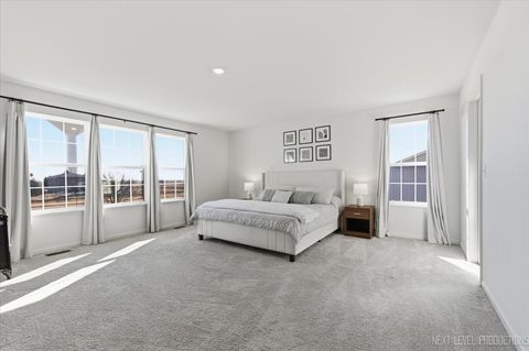 Tiny photo for 2154 Tremont Avenue, Yorkville, IL 60560 (MLS # 12573381)