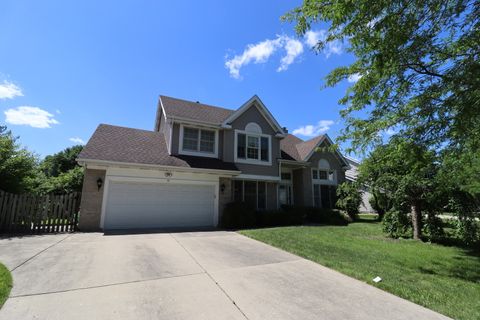 10 Nicolette Avenue Schaumburg IL 60173