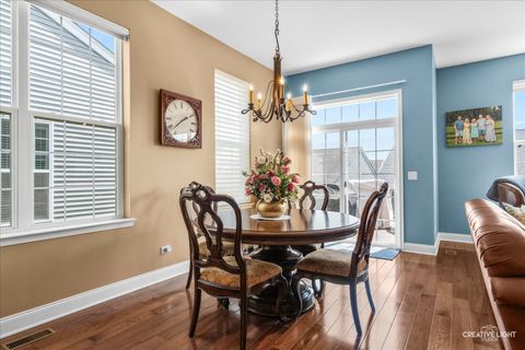 Tiny photo for Elgin, IL 60124 (MLS # 12622196)