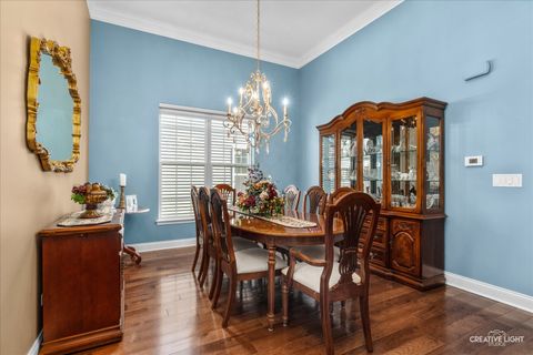 Tiny photo for Elgin, IL 60124 (MLS # 12622196)
