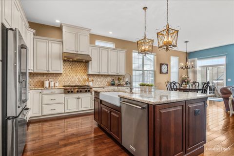Tiny photo for Elgin, IL 60124 (MLS # 12622196)