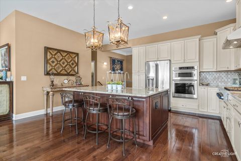 Tiny photo for Elgin, IL 60124 (MLS # 12622196)