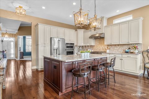 Tiny photo for Elgin, IL 60124 (MLS # 12622196)