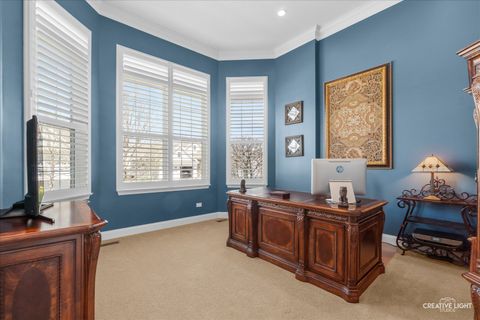Tiny photo for Elgin, IL 60124 (MLS # 12622196)