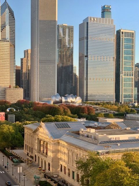 Tiny photo for 310 S Michigan Avenue #1100, Chicago, IL 60604 (MLS # 12573989)