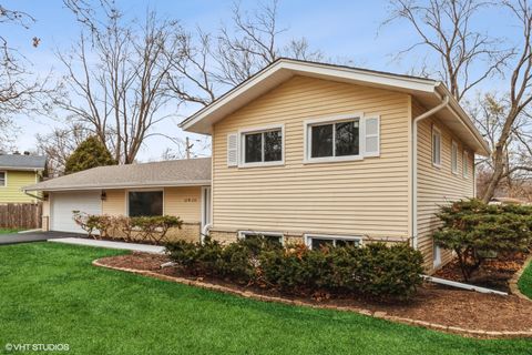 22W650 Arbor Lane Glen Ellyn IL 60137