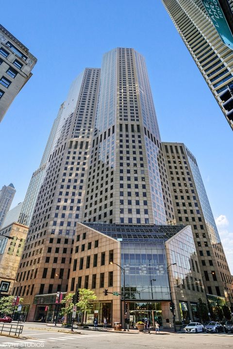 950 N Michigan Avenue 2203 Chicago IL 60611