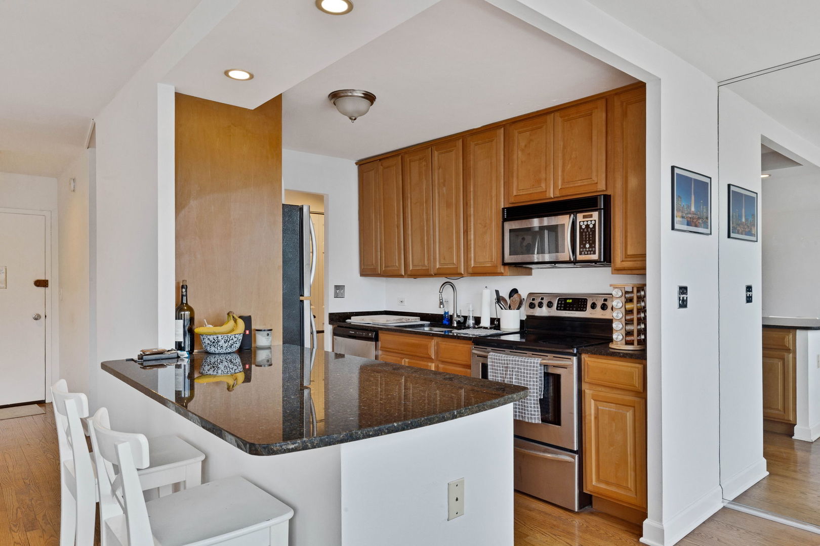 1355 N Sandburg Terrace 1206D