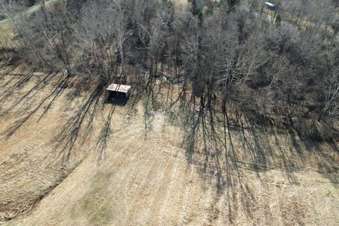 Tiny photo for 342 Bassett Road, Elizabethtown, IL 62931 (MLS # 100000561)